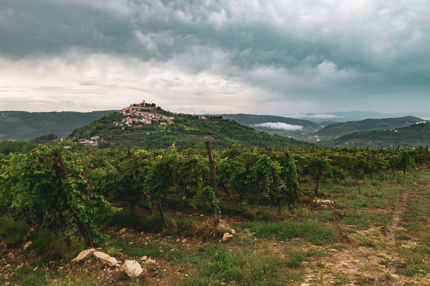 In den Bergen Motovuns