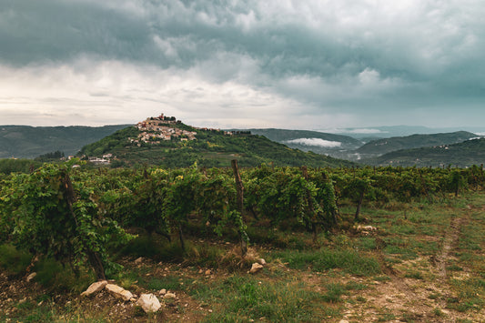 In den Bergen Motovuns