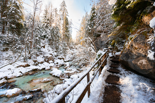 Weg im Zauberwald im Winter